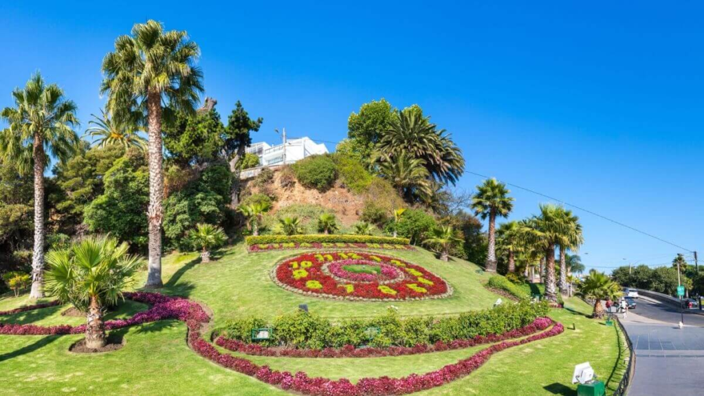 casa de cambio viña del mar
