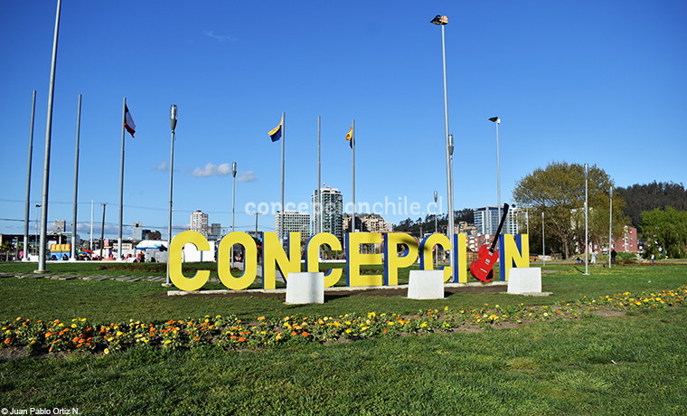 bolsa de trabajo en concepción